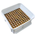 sorter 2.png