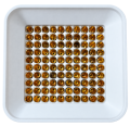 sorter 1.png